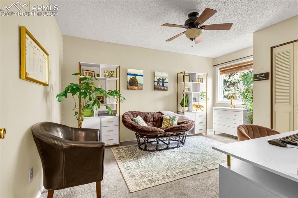 1160 Magic Lamp Way, Unit 4 Monument, CO 80132 - Photo 15 of 23 a living room with furniture and a potted plant