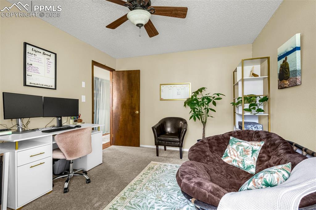 1160 Magic Lamp Way, Unit 4 Monument, CO 80132 - Photo 16 of 23 a living room with furniture and a potted plant