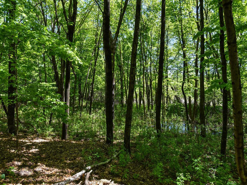 4635 Old Kent Road Deephaven, MN 55331 - Photo 42 of 44 Gallery Image 42