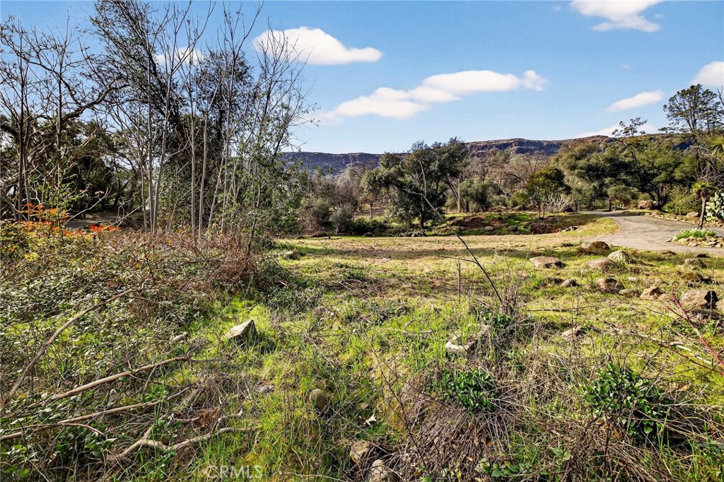 12738 Centerville Road Chico, CA 95928 - Photo 23 of 43