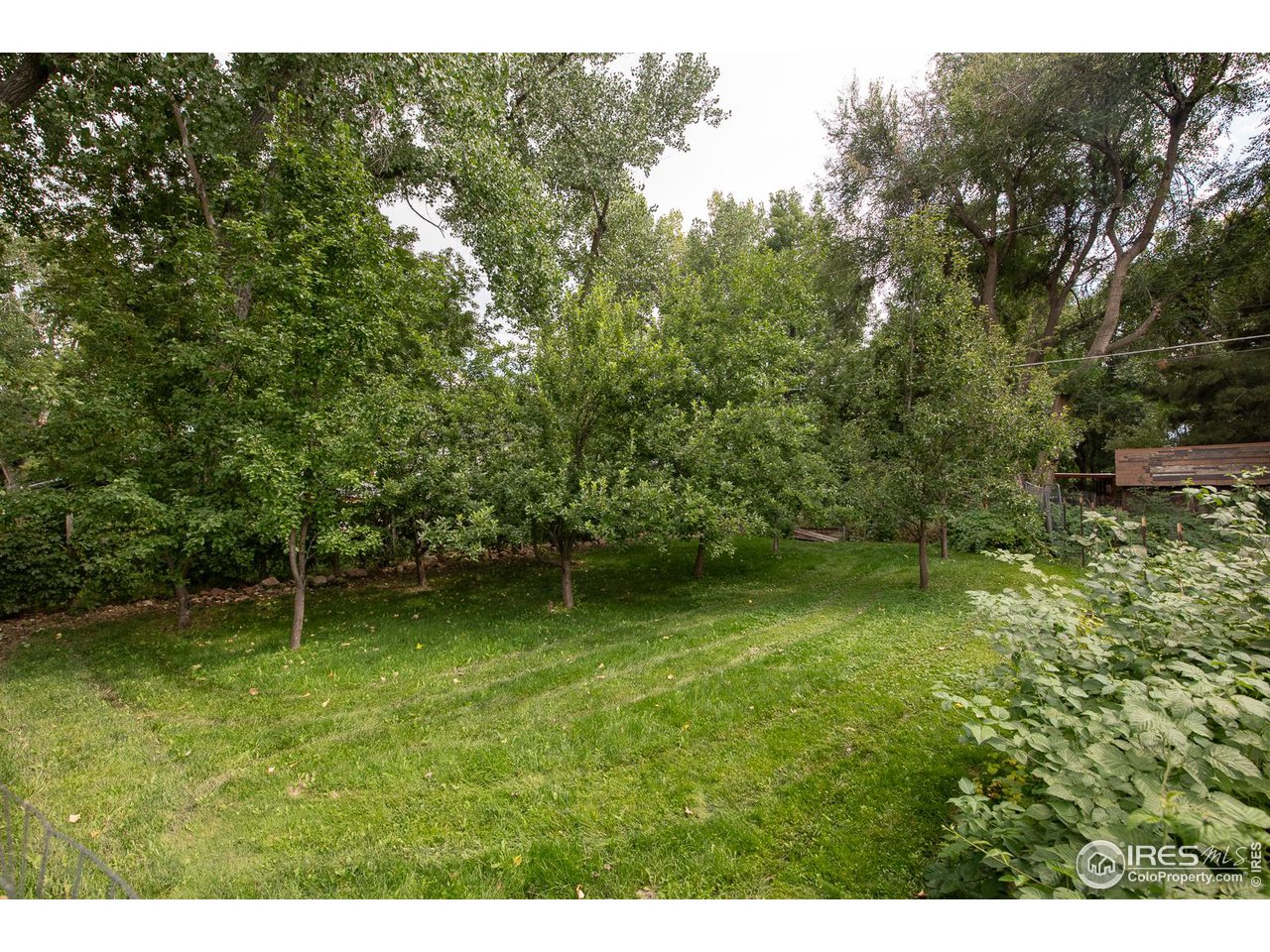 1675 Upland Avenue Boulder, CO 80304 - Photo 33 of 39 Orchard in the backyard
