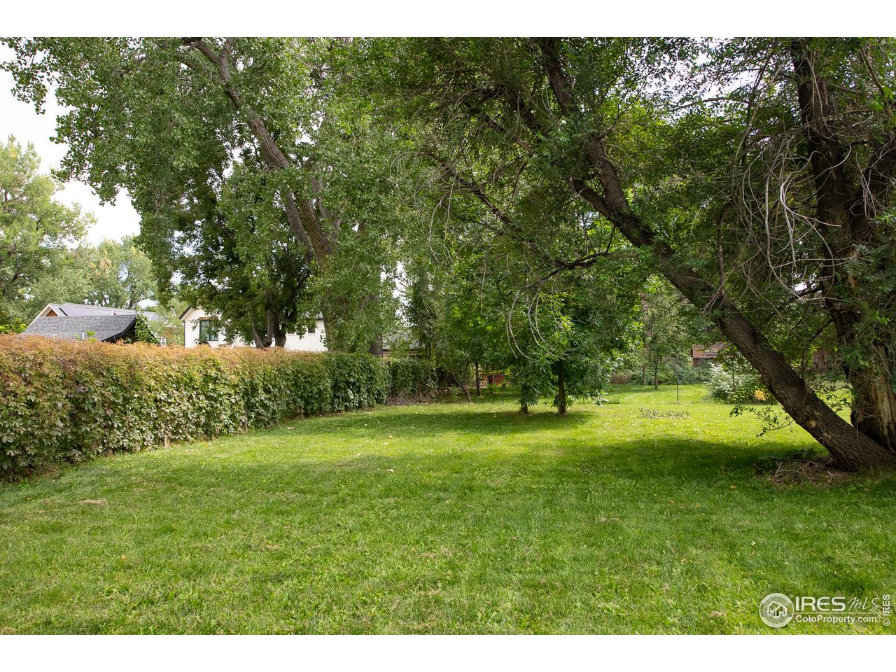 1675 Upland Avenue Boulder, CO 80304 - Photo 35 of 39 Hedgerow to the neighbor to the east