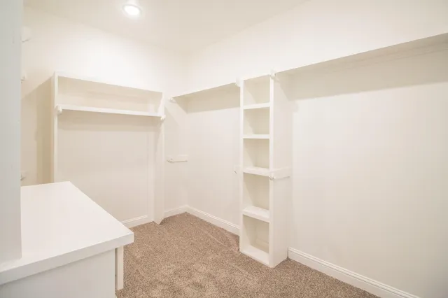 a view of storage and utility room with closet