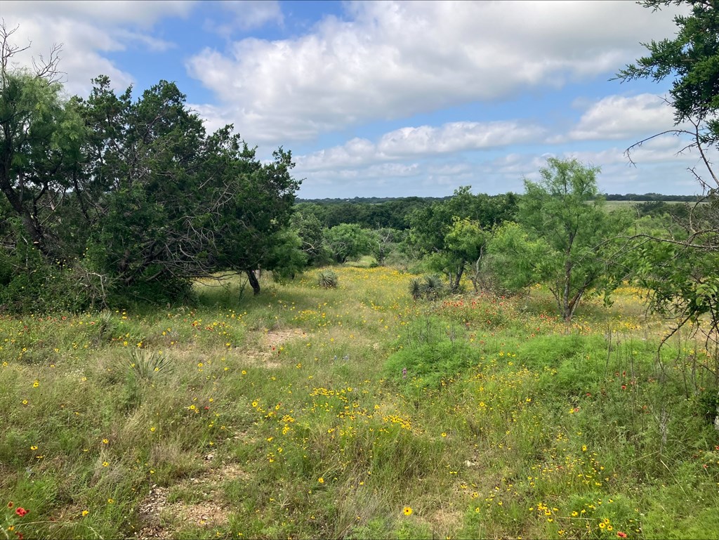 4605 West Ranch Road Mason, TX 76856 - Photo 3 of 26