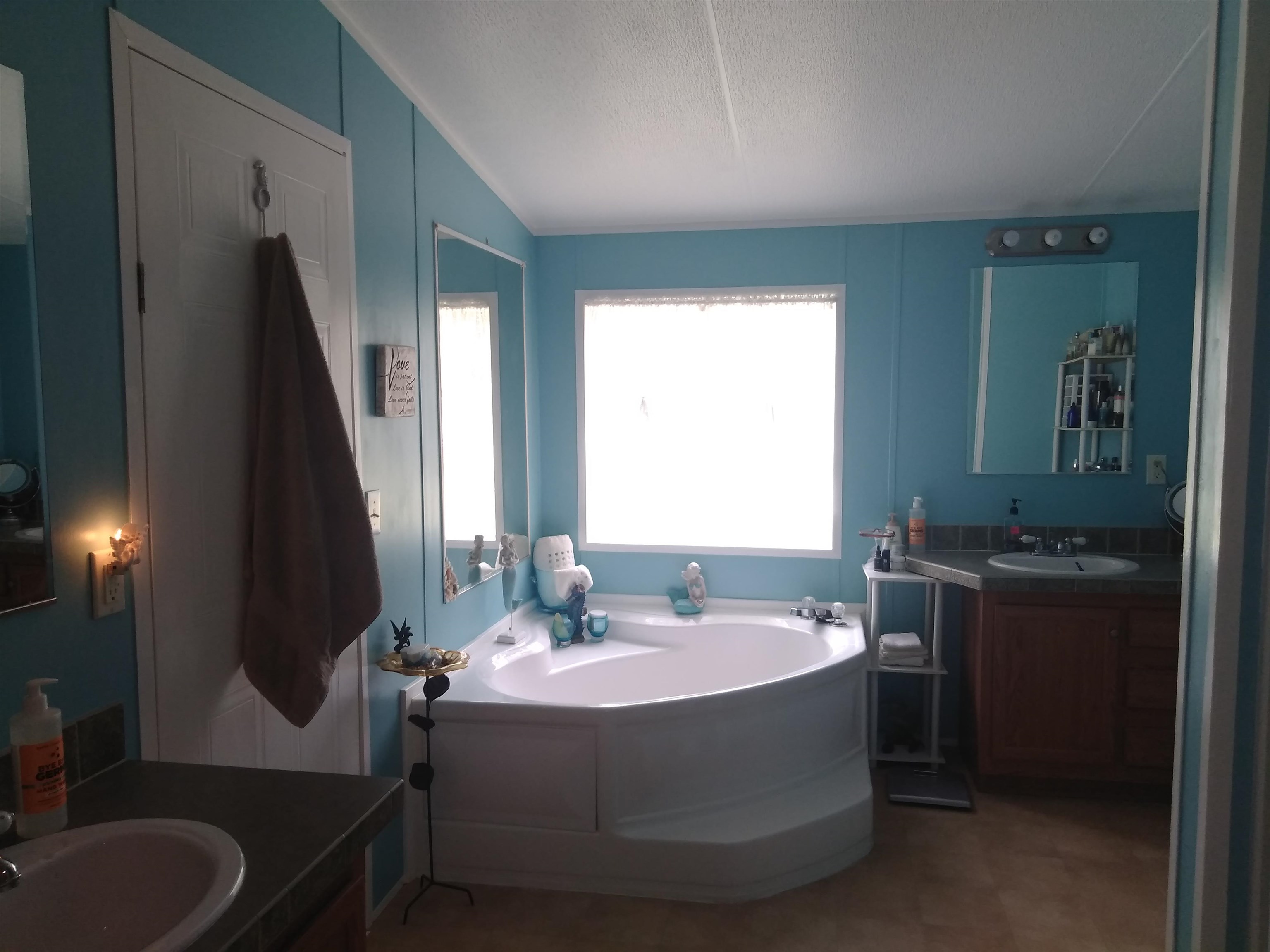 231 Deer Run Road Satsuma, FL 32189 - Photo 12 of 31 Gallery Image 12