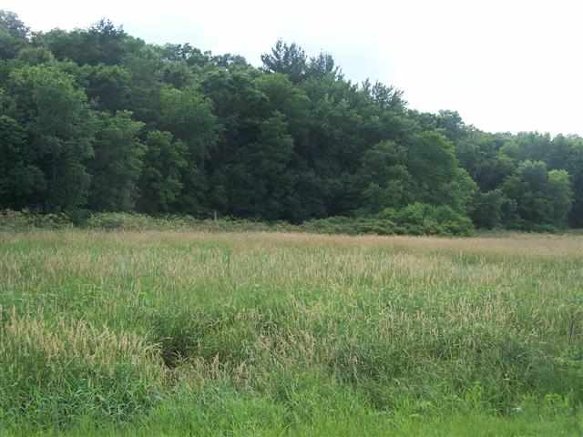 Tbd Us Rt 20 Hanover, IL 61041 - Photo 1 of 6 Gallery Image 1
