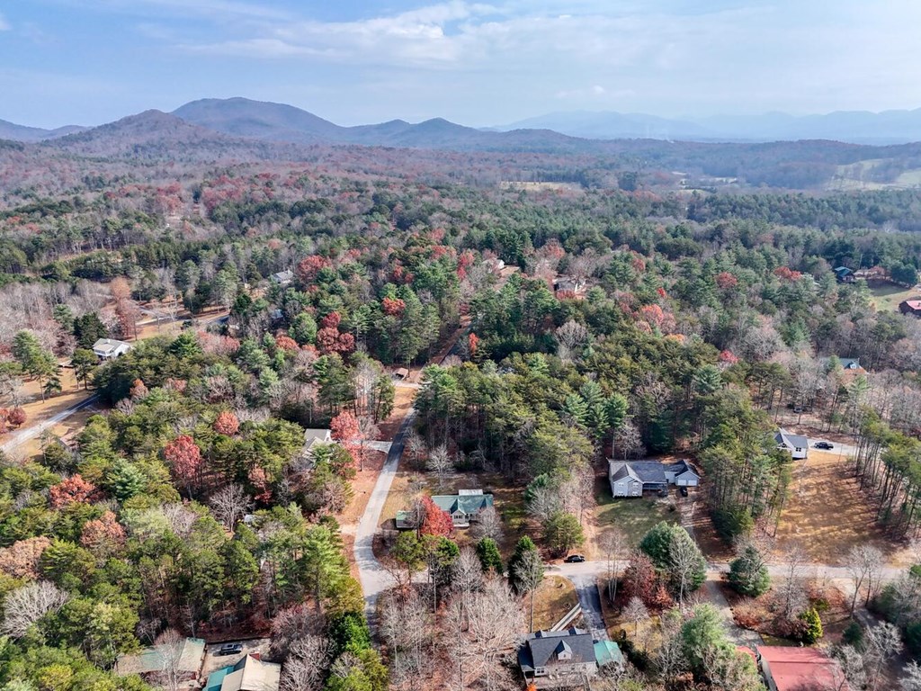 241 12 Point Road Blairsville, GA 30512 - Photo 30 of 34 an aerial view of residential house with outdoor space and trees all around