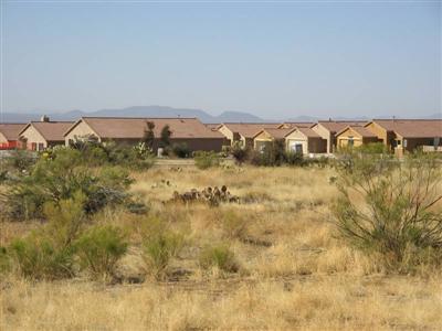 16381 South Houghton Road, Unit LOT 1 Vail, AZ 85641 - Photo 6 of 10
