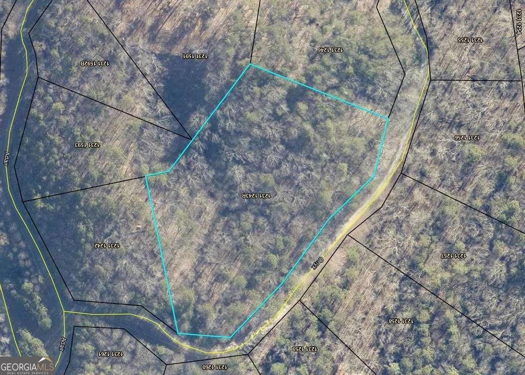 1243 R Onyx Court Ranger, GA 30734 - Photo 1 of 1 a bird view of house