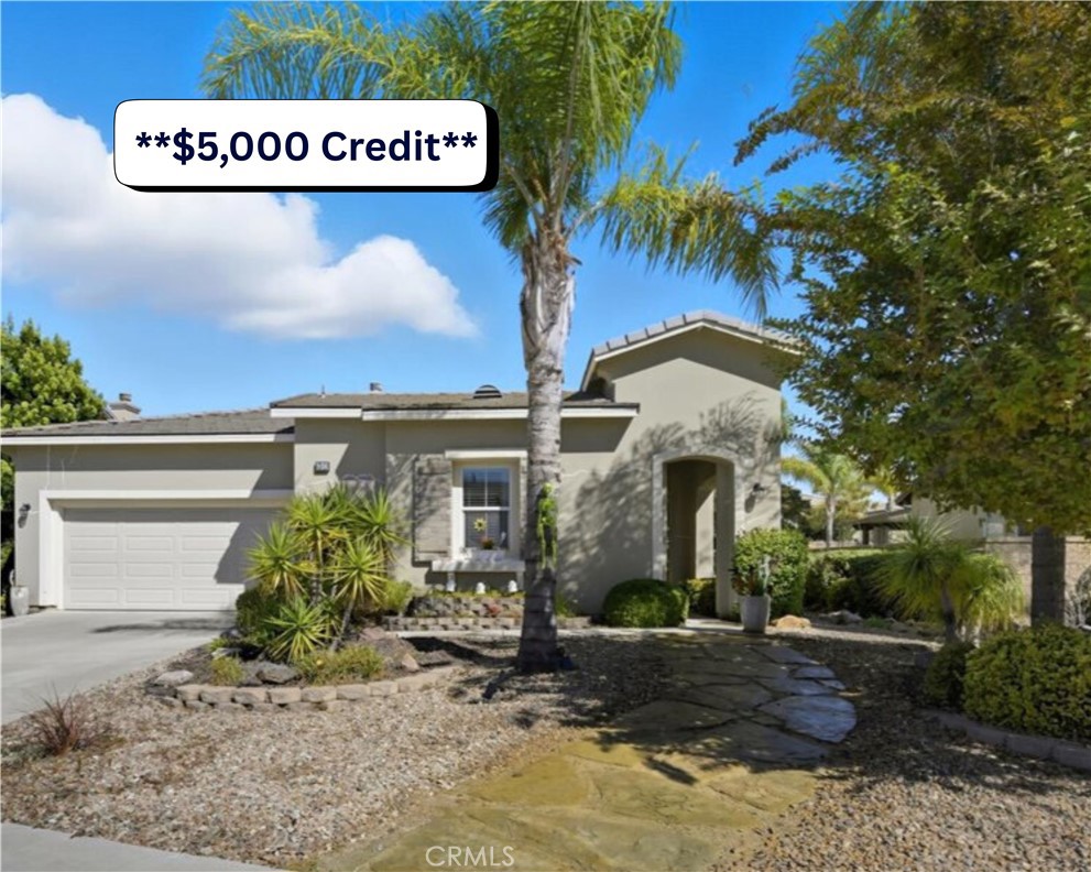 a view of a street with potted plants and palm trees