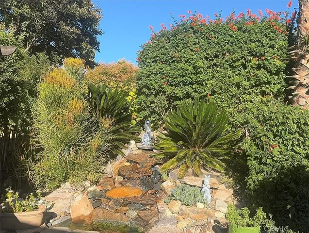 a view of a plant in a garden