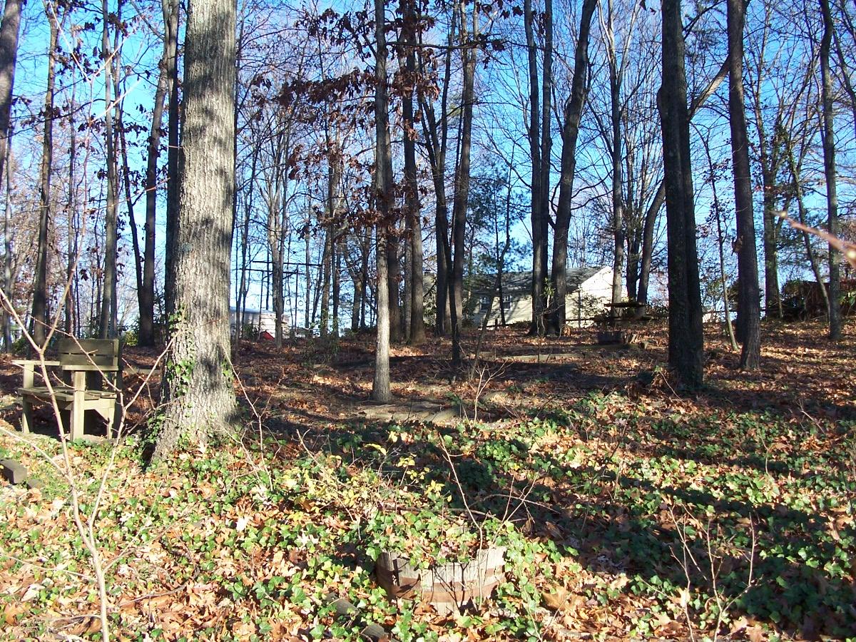 3944 Winding Way Road Southwest Roanoke, VA 24015 - Photo 15 of 16 backyard