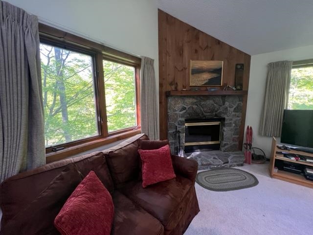 101 Kettlebrook Road, Unit F1 Ludlow, VT 05149 - Photo 10 of 29 Gallery Image 10