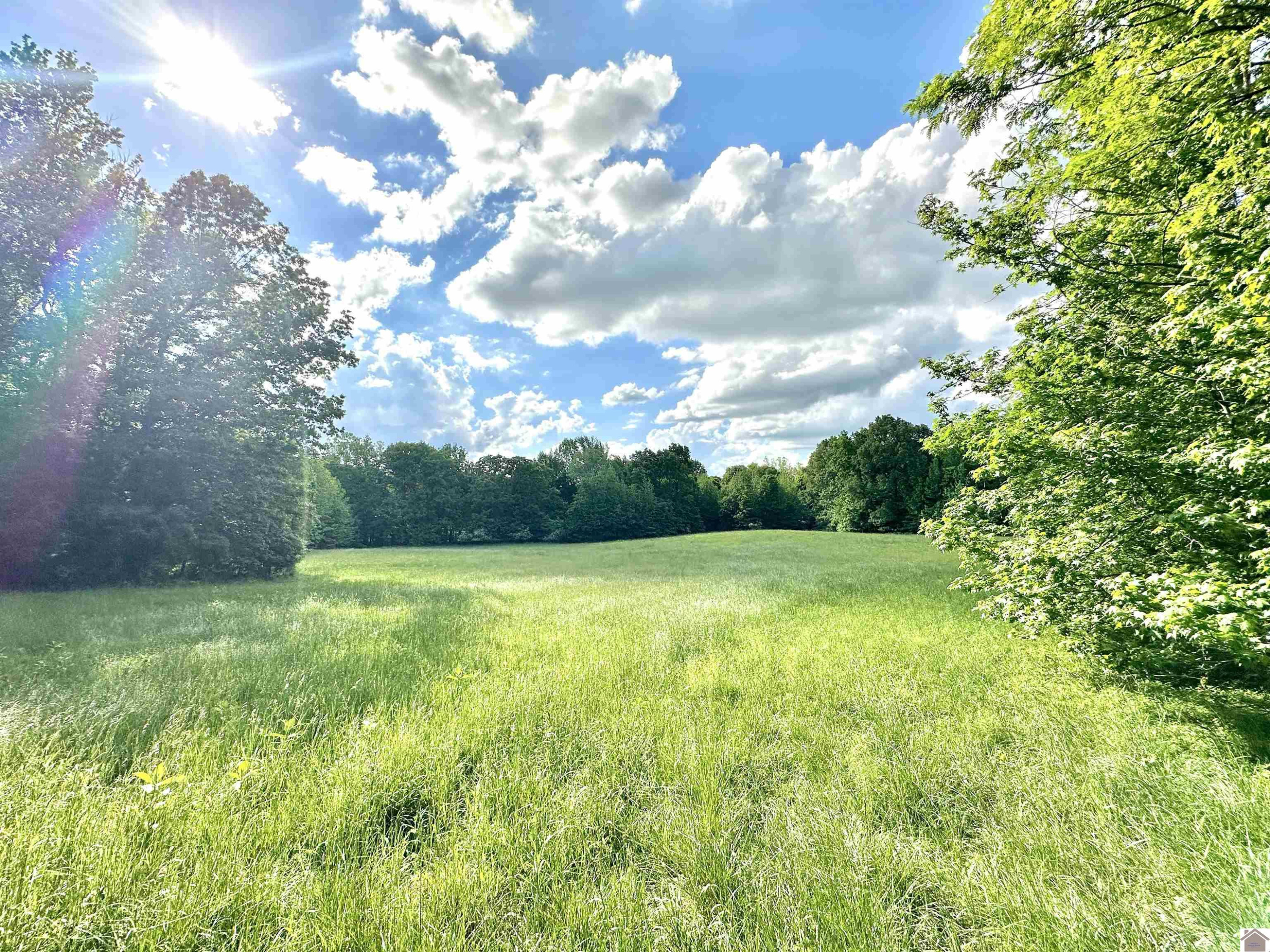 5109 S Road Cadiz, KY 42211 - Photo 16 of 35 Photo 16