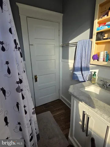 a bathroom with a sink and a shower