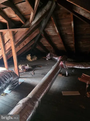 a close view of shoes