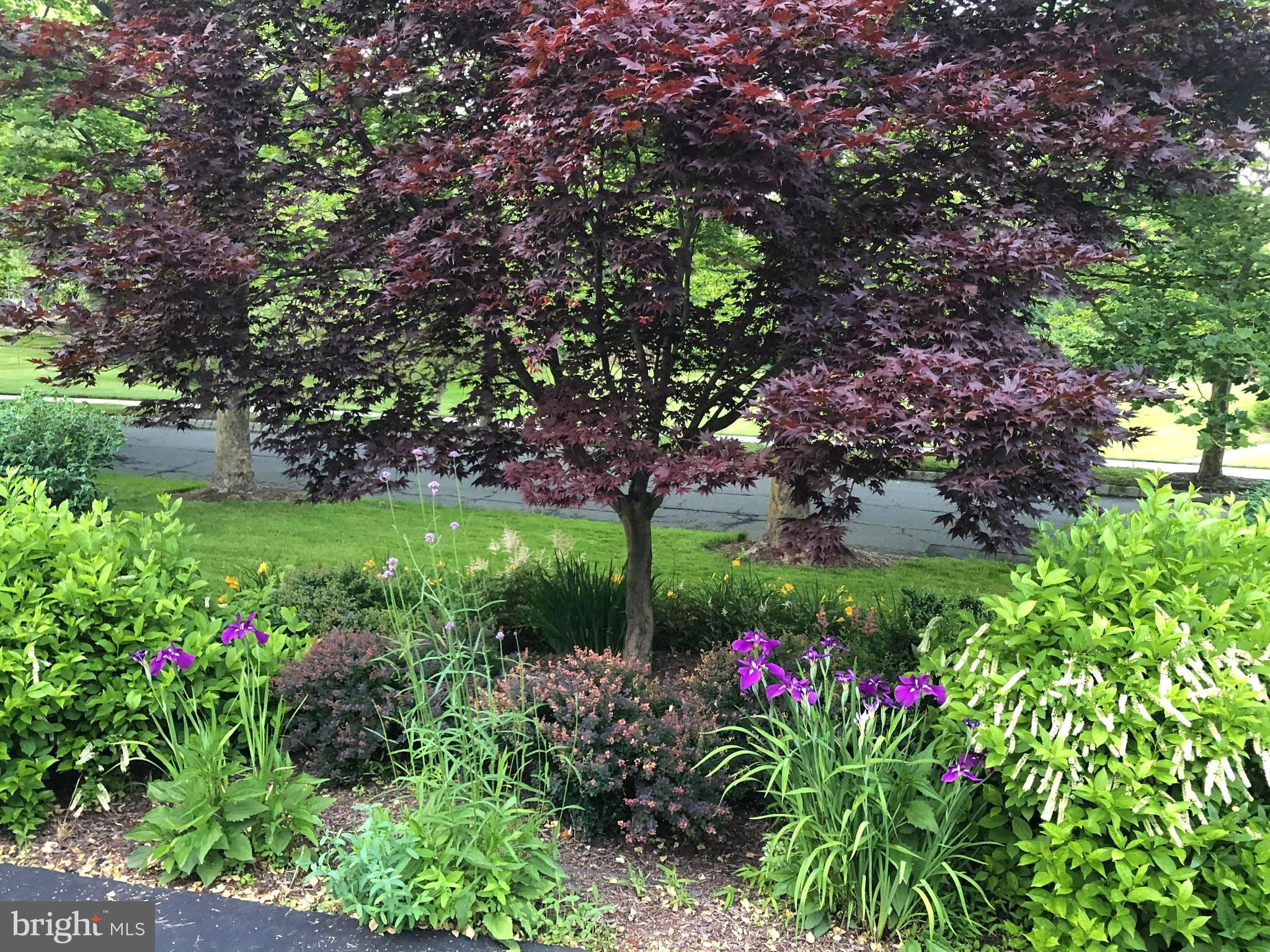 205 Christopher Drive Princeton, NJ 08540 - Photo 7 of 45 Front bed around circular driveway.