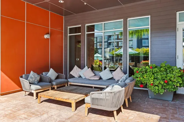 a living room with a couch and a potted plant