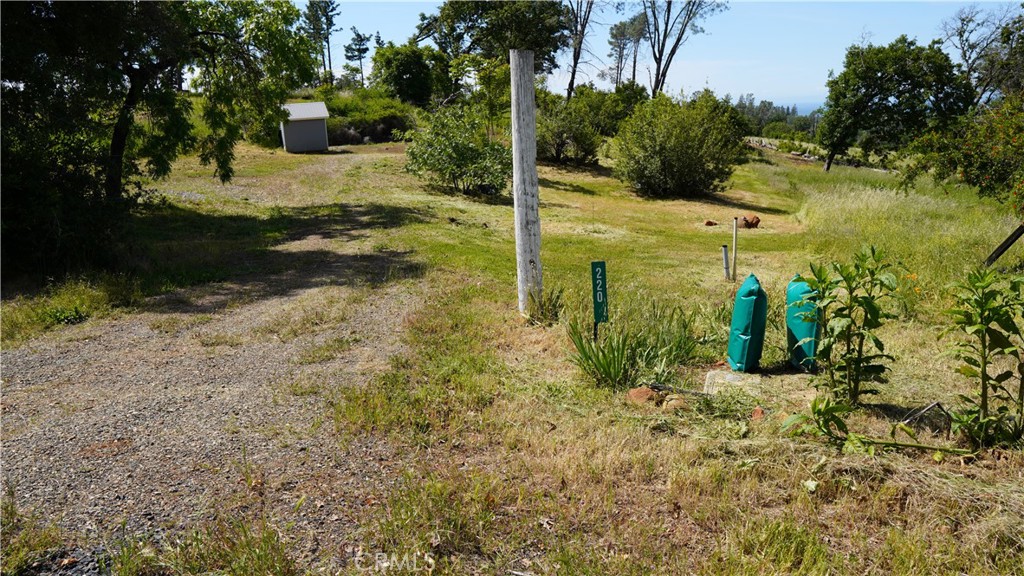 220 Foothill Road Paradise, CA 95969 - Photo 1 of 9 a view of a garden with plants