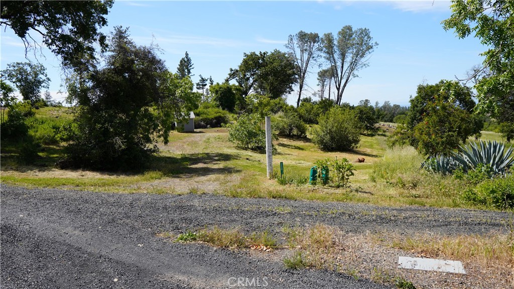 220 Foothill Road Paradise, CA 95969 - Photo 3 of 9 a view of a yard with an tree