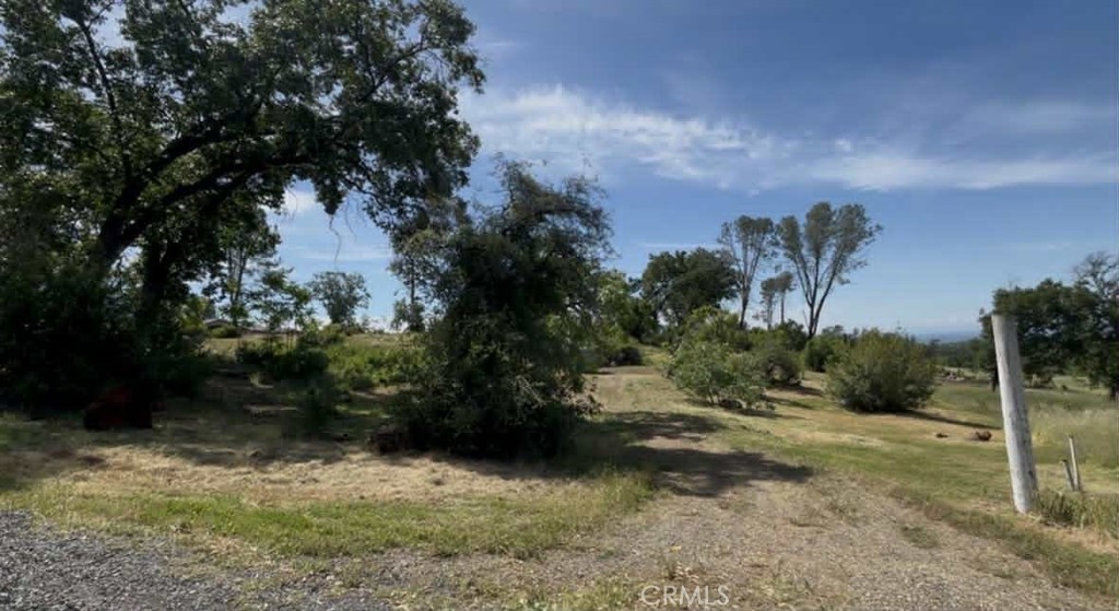 220 Foothill Road Paradise, CA 95969 - Photo 5 of 9 a view of a yard with plants and trees