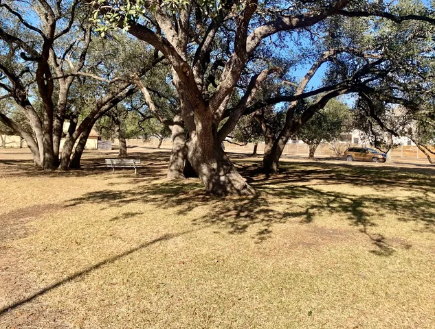 a view of snow on the side of the road