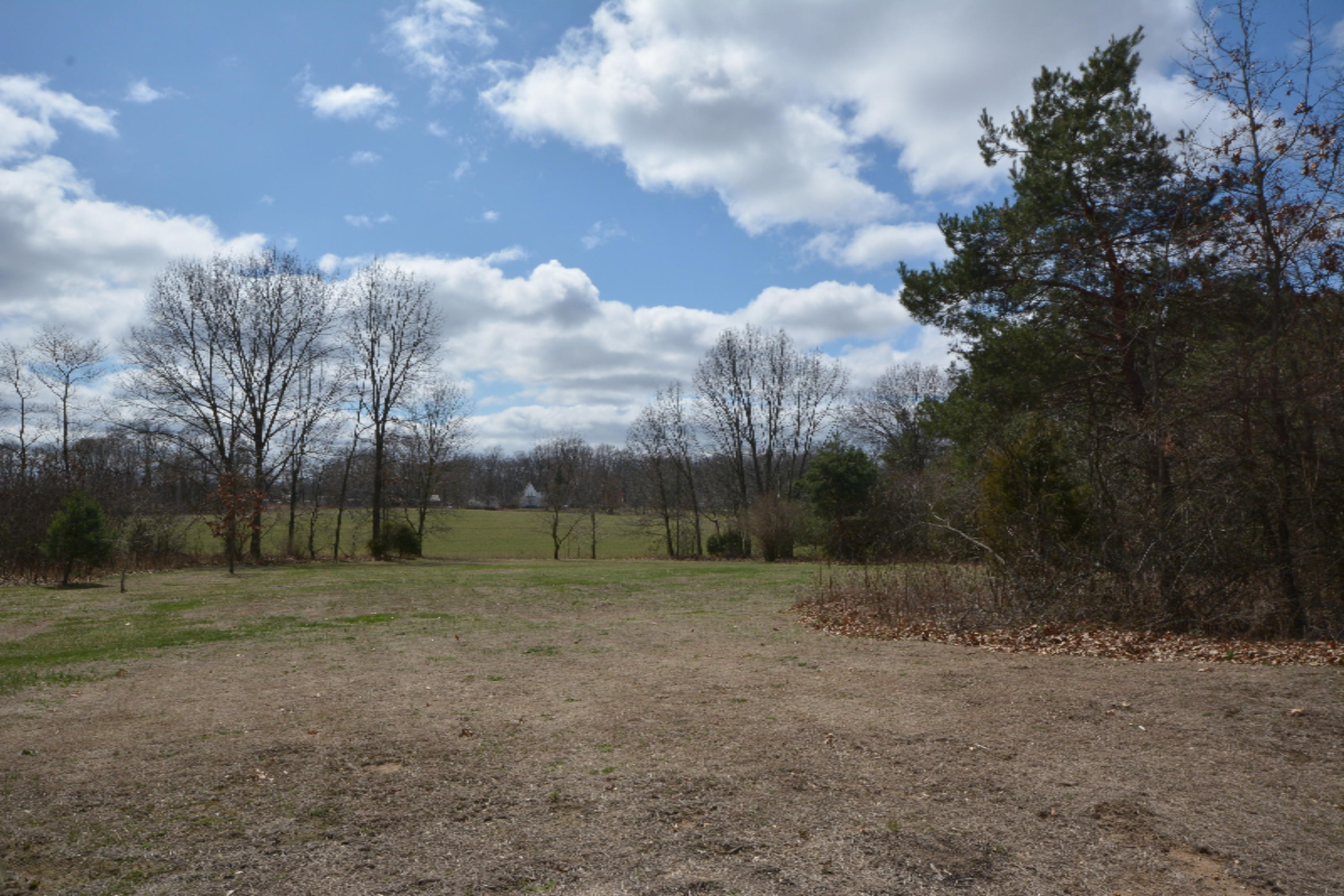 41711 80th Avenue Decatur, MI 49045 - Photo 31 of 31 DSC_4830 - Copy