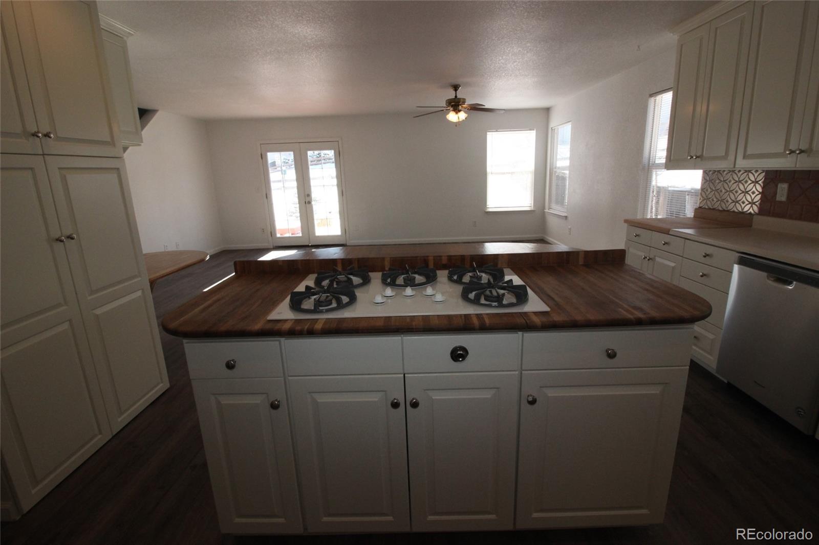 10015 Strathfield Lane Highlands Ranch, CO 80126 - Photo 6 of 34 Gallery Image 6