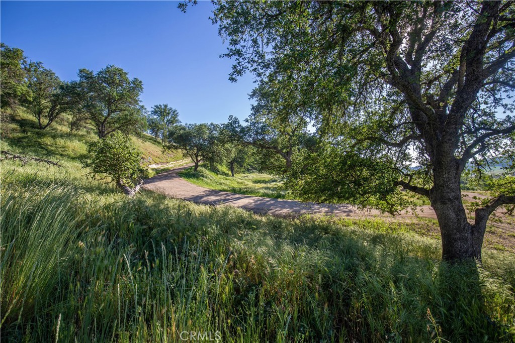 77505 Reinert Road San Miguel, CA 93451 - Photo 14 of 29 a view of outdoor space and yard