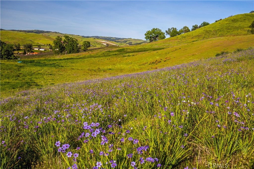 77505 Reinert Road San Miguel, CA 93451 - Photo 16 of 29 a view of an ocean from a yard