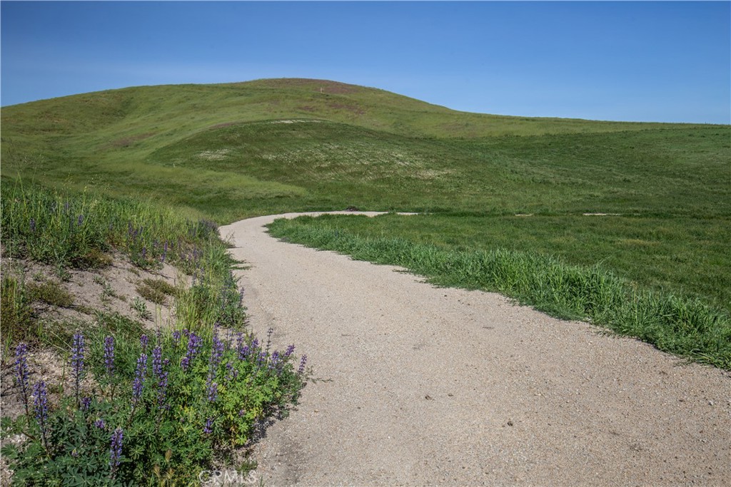 77505 Reinert Road San Miguel, CA 93451 - Photo 17 of 29 a view of a field with an ocean