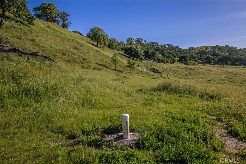 77505 Reinert Road San Miguel, CA 93451 - Photo 20 of 29 a view of a field with a tree in the background