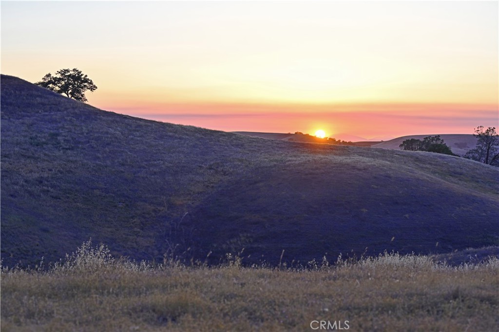 77505 Reinert Road San Miguel, CA 93451 - Photo 24 of 29 a view of a yard