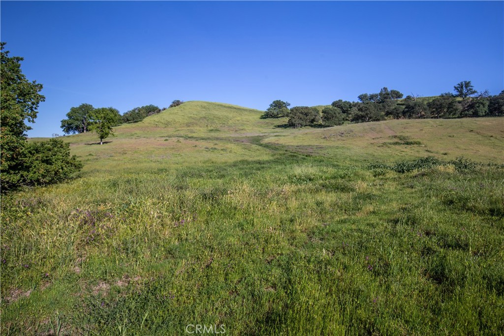 77505 Reinert Road San Miguel, CA 93451 - Photo 8 of 29 a view of a field with an ocean and mountain in the background
