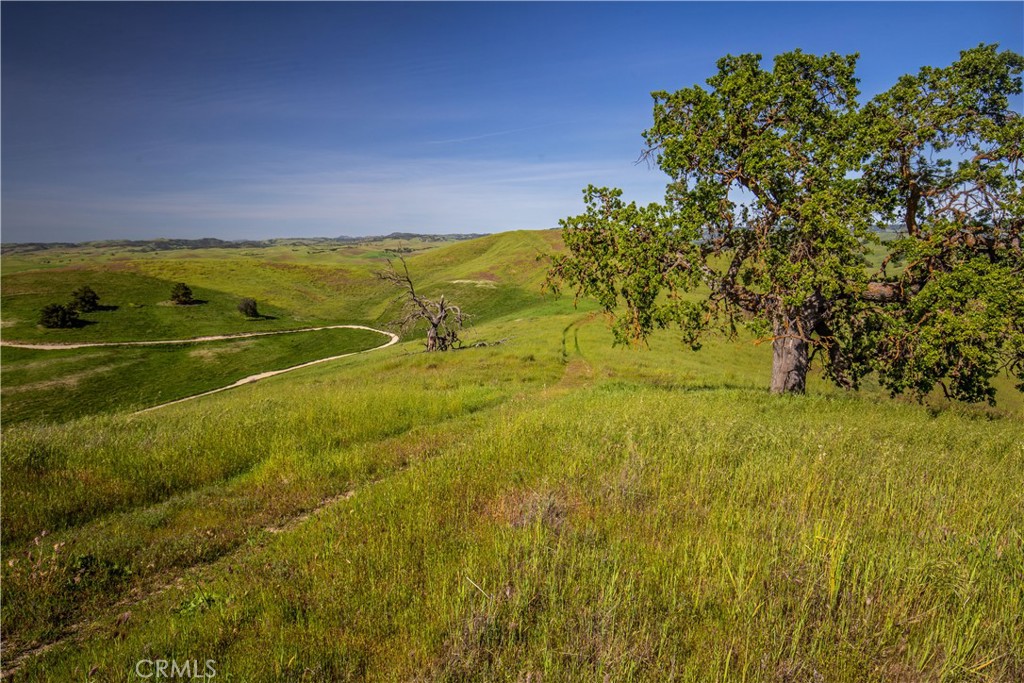77505 Reinert Road San Miguel, CA 93451 - Photo 9 of 29 a view of a yard with an outdoor space