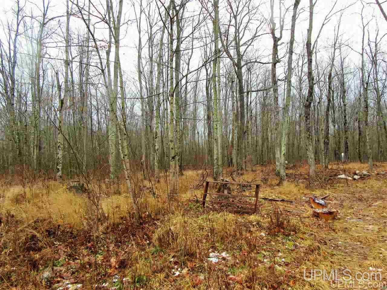 1931 Quarry Road Gulliver, MI 49840 - Photo 25 of 26