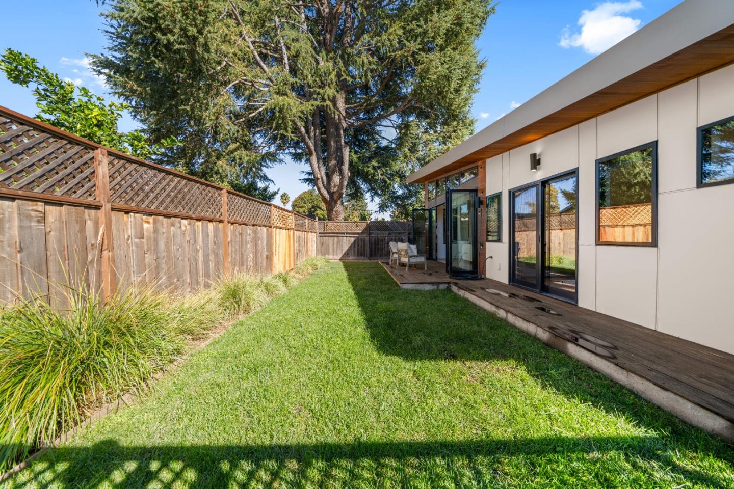 359 Stowell Avenue Sunnyvale, CA 94085 - Photo 38 of 53 a view of a backyard with plants and large tree