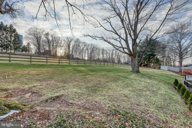a view of a park with large trees