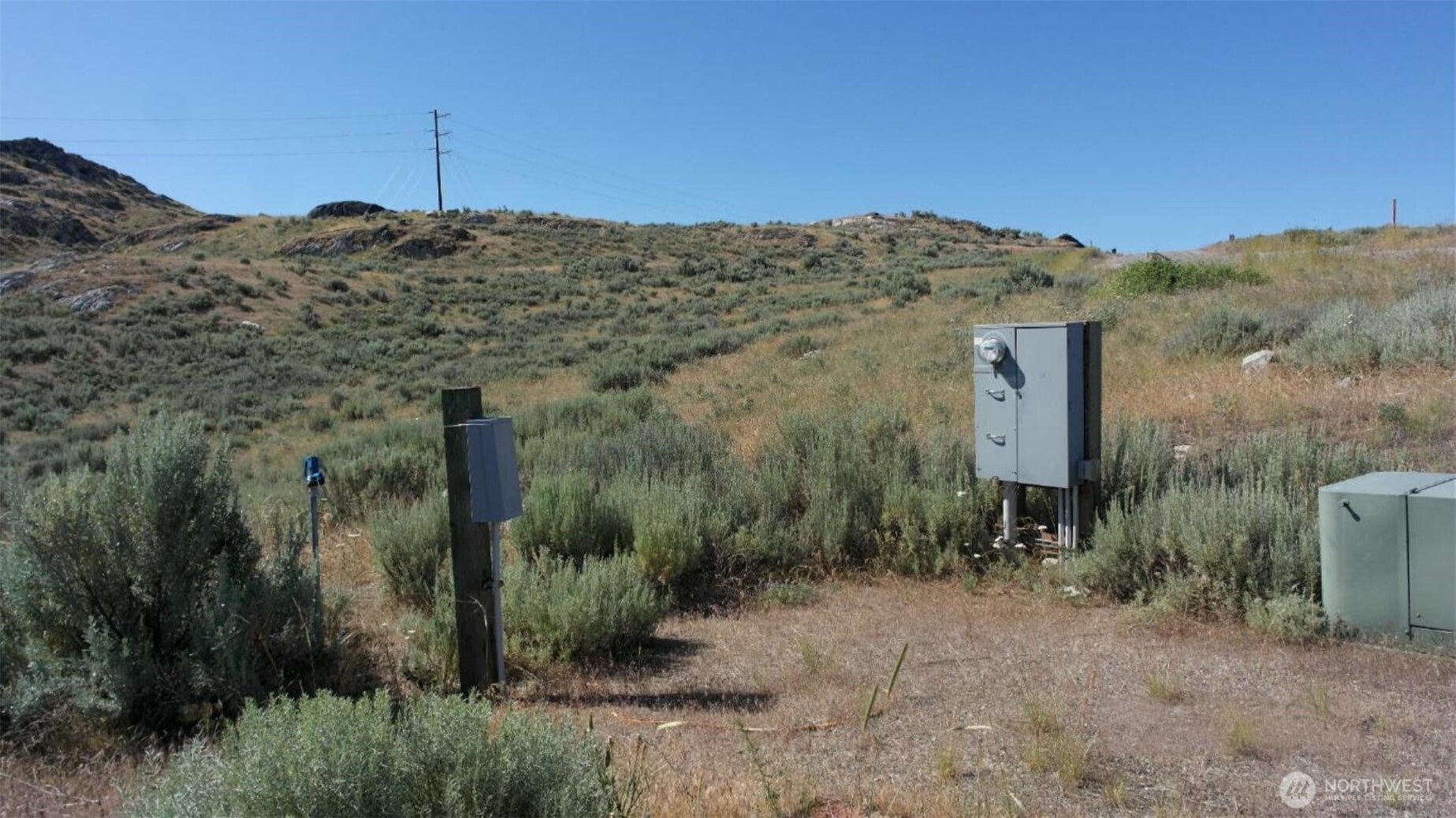 446 Plata Road Brewster, WA 98812 - Photo 21 of 32 a view of a dry yard with trees