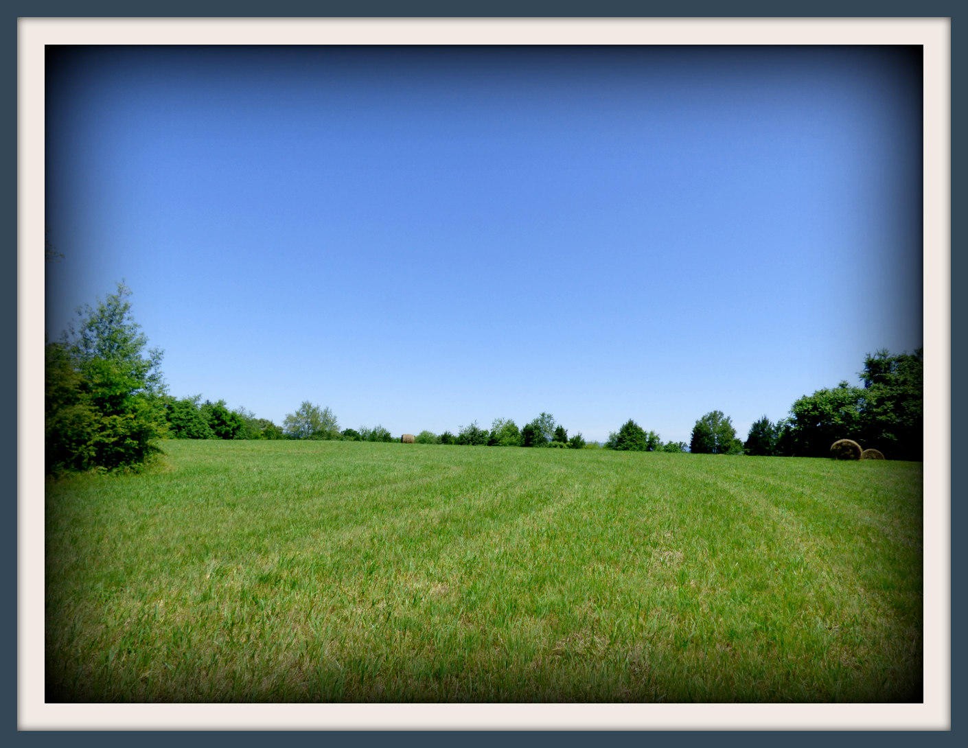37 Nances Ferry Road New Market, TN 37820 - Photo 8 of 14 Gallery Image 8