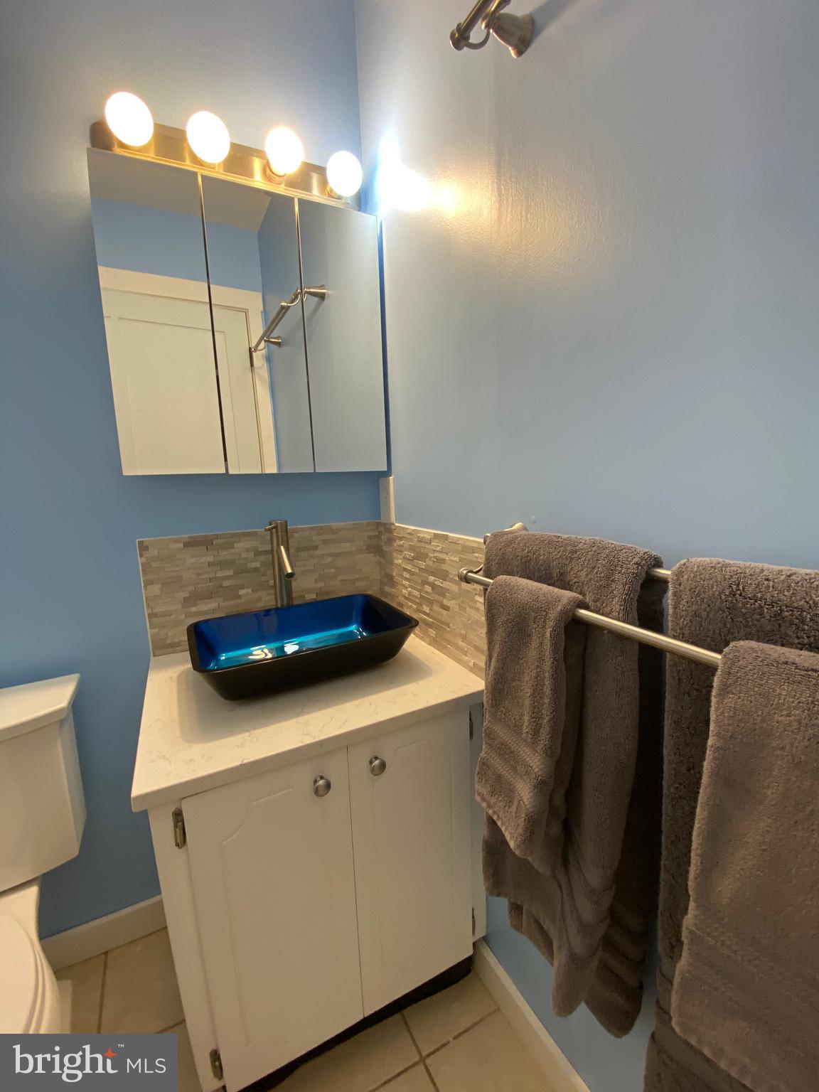 1040 Cedar Ridge Court Annapolis, MD 21403 - Photo 36 of 49 Hall Bathroom