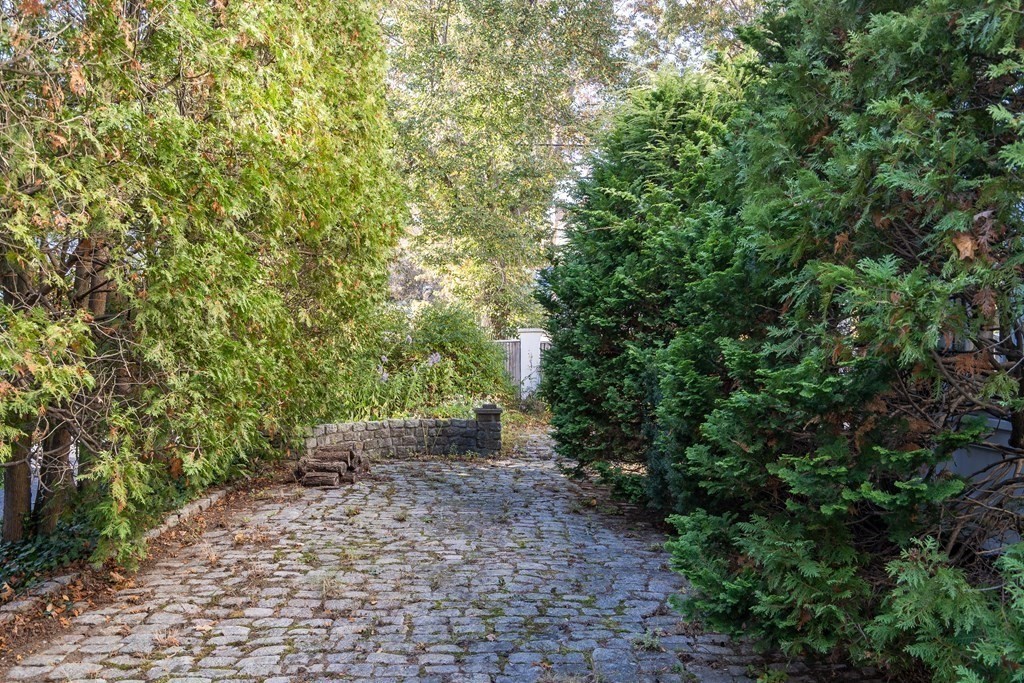 176 Pleasant Street Arlington, MA 02476 - Photo 33 of 41 a view of a yard with plants and large trees