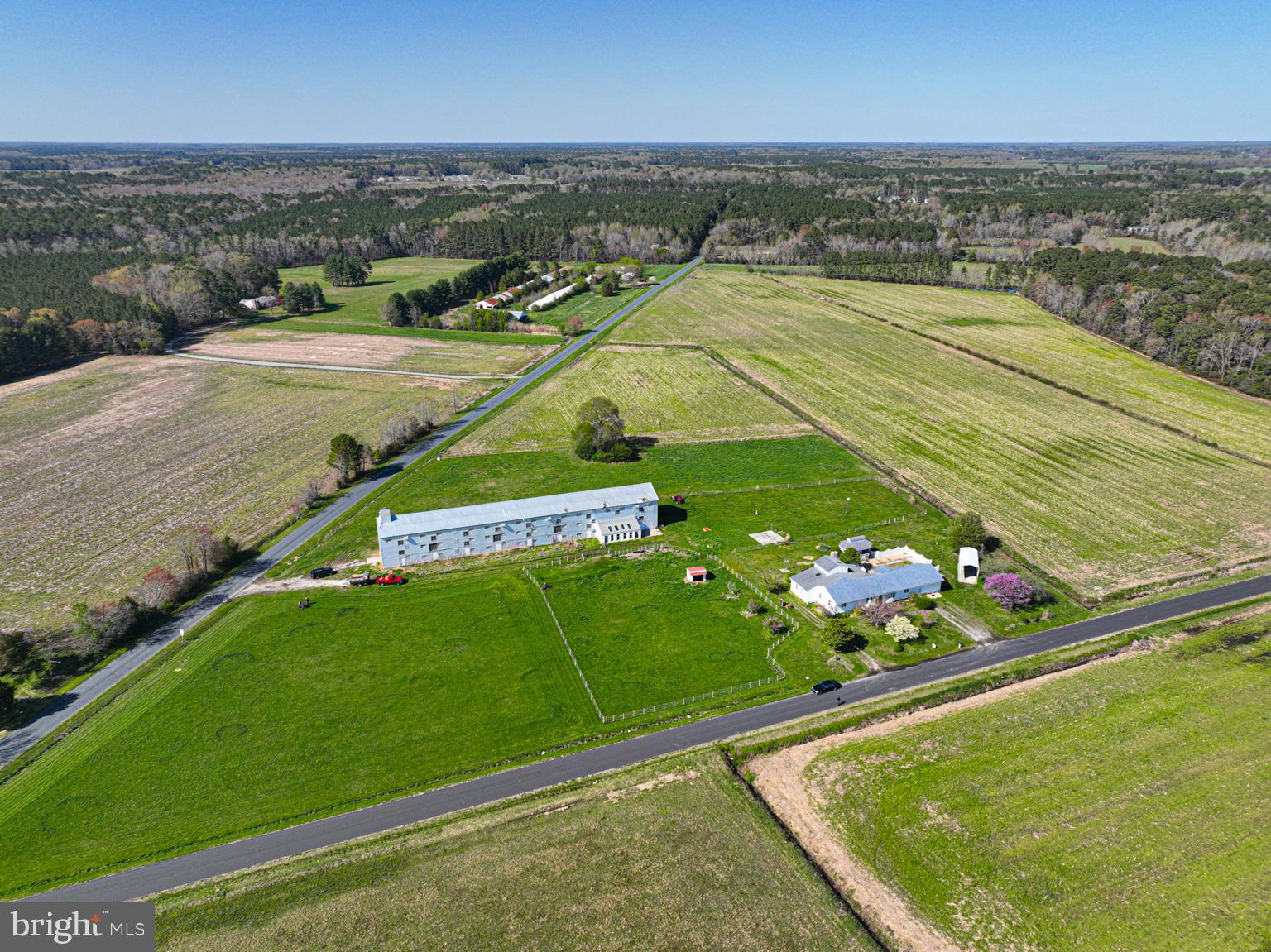 32810 Longridge Road Parsonsburg, MD 21849 - Photo 1 of 21 Working Farm with horse stables and pastures