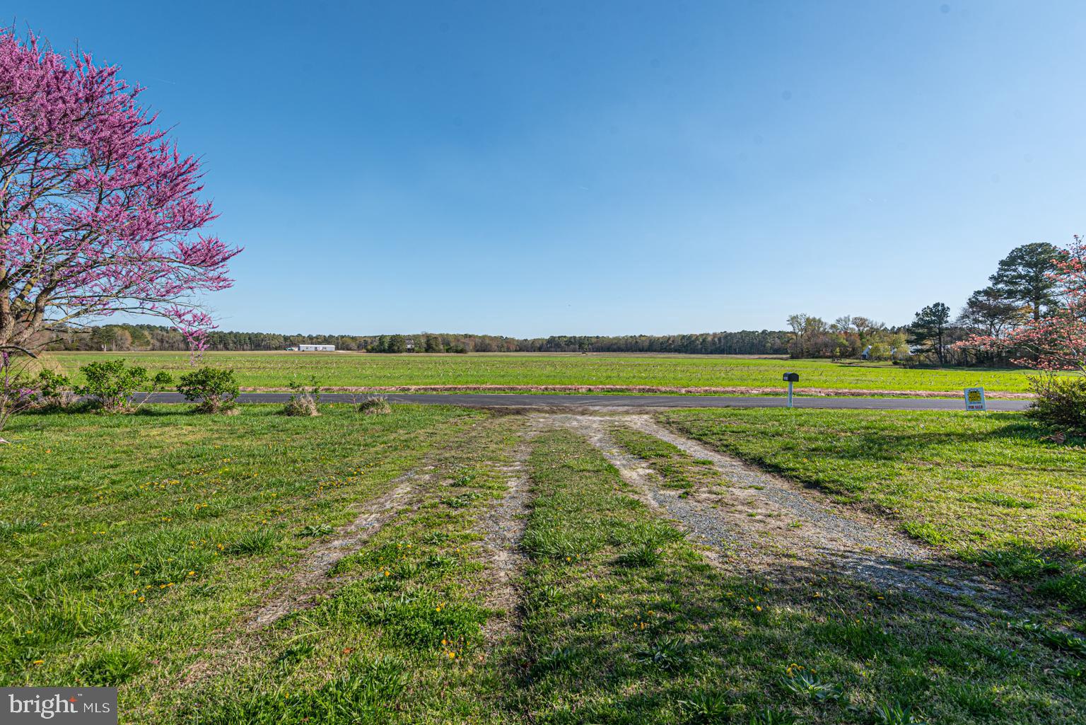 32810 Longridge Road Parsonsburg, MD 21849 - Photo 14 of 21 View from the house