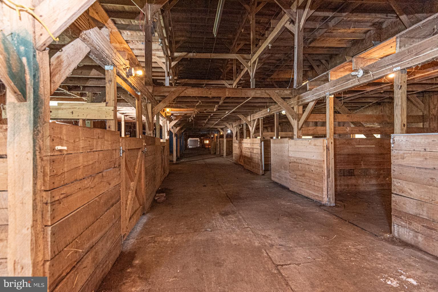 32810 Longridge Road Parsonsburg, MD 21849 - Photo 16 of 21 Horse Stalls