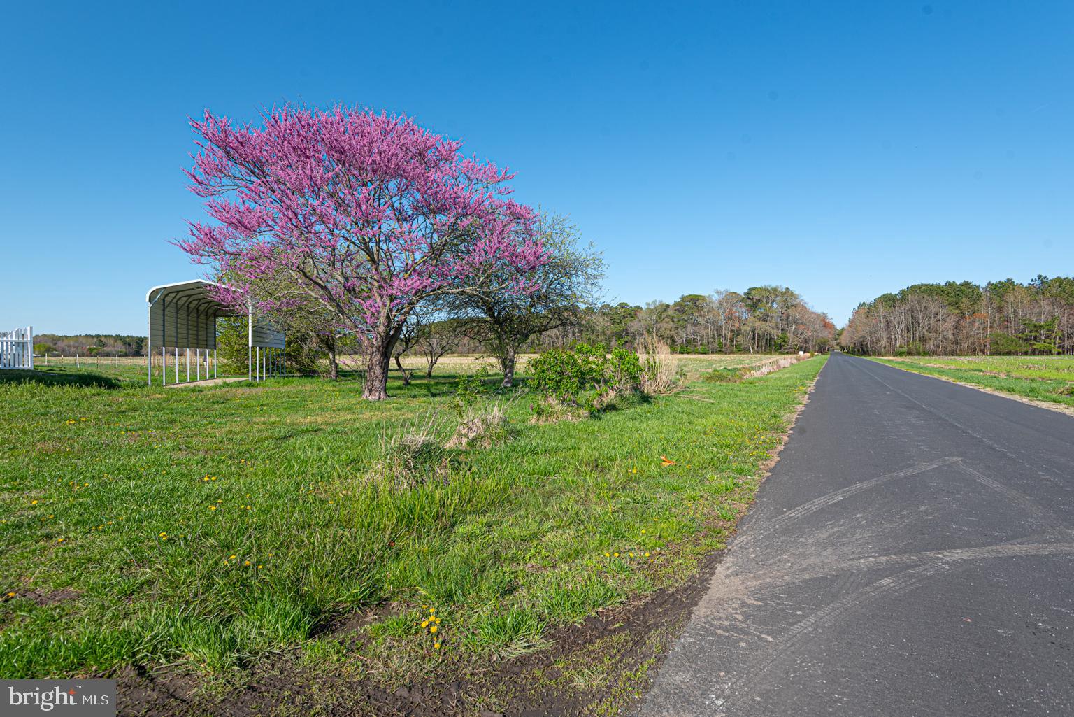 32810 Longridge Road Parsonsburg, MD 21849 - Photo 18 of 21 View down Longridge
