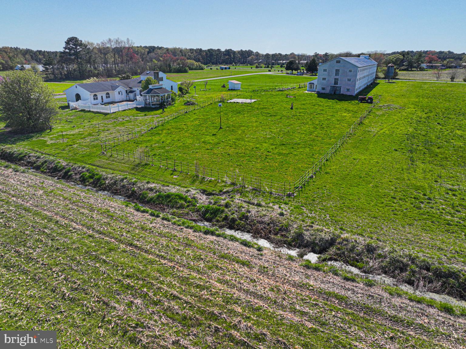 32810 Longridge Road Parsonsburg, MD 21849 - Photo 19 of 21 Side of Farm from the Woods line