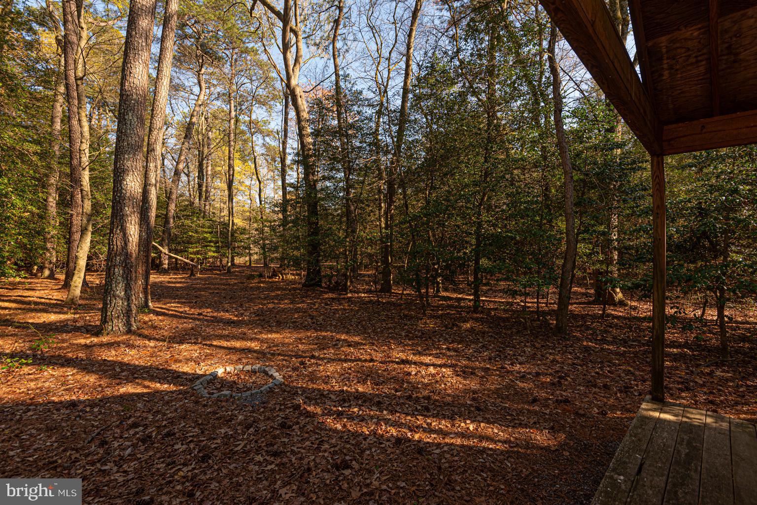 32810 Longridge Road Parsonsburg, MD 21849 - Photo 21 of 21 View from the Cabin in the woods
