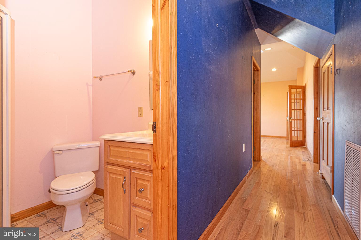 32810 Longridge Road Parsonsburg, MD 21849 - Photo 9 of 21 One of the baths and hallway to LR