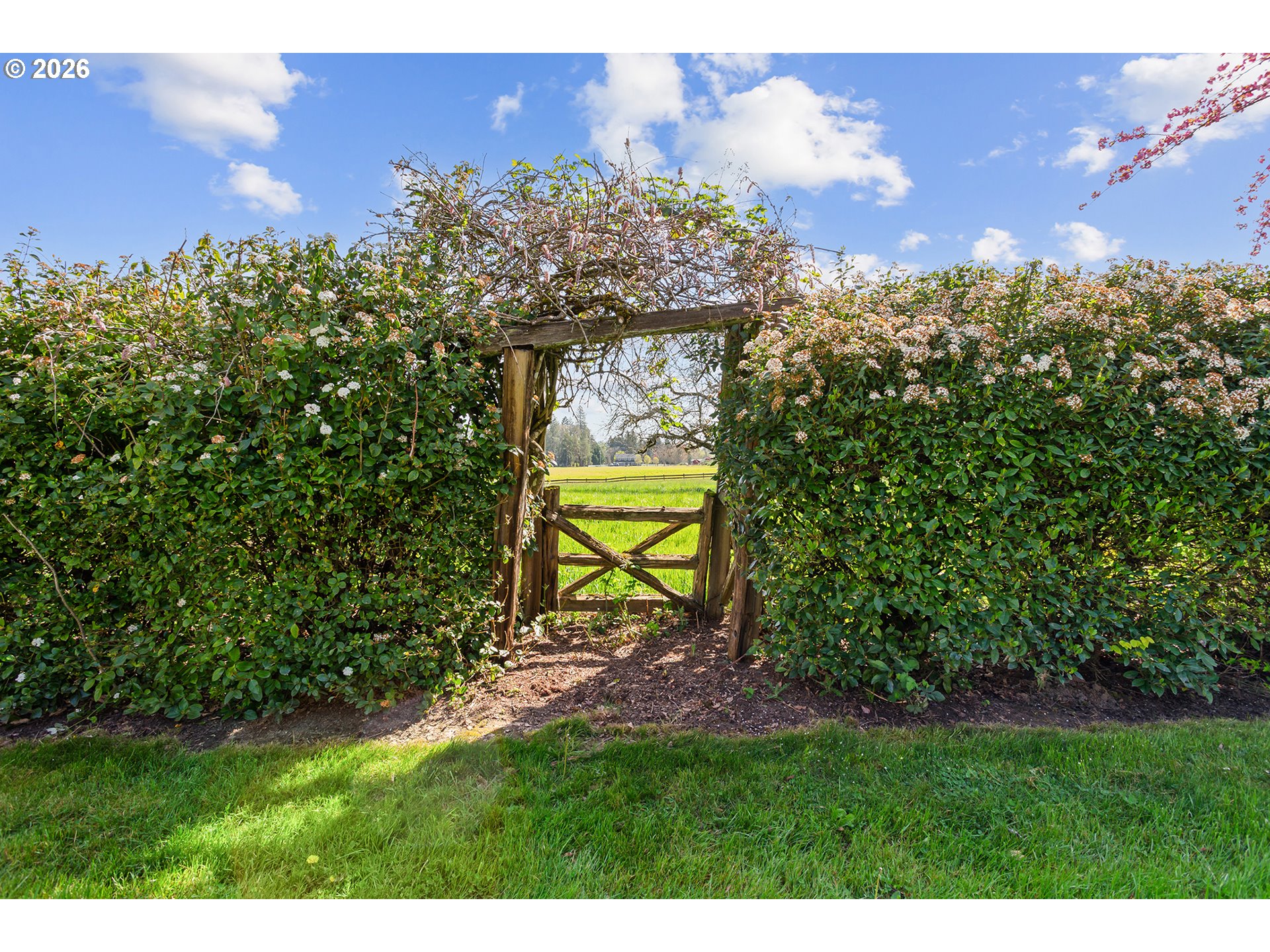 22405 Northeast Sunnycrest Road Newberg, OR 97132 - Photo 9 of 48